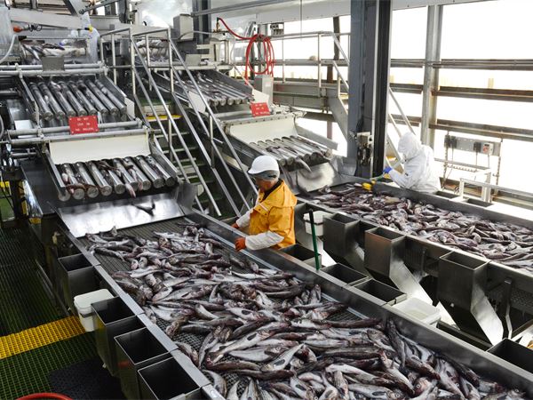 Why Russian fish keeps slipping the sanctions net