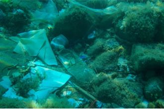 How Italy and Croatia are fighting against marine pollution