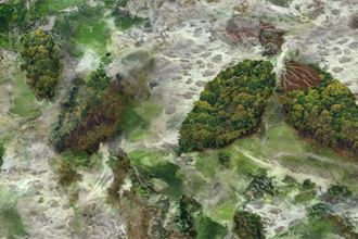 Let’s rise to the challenge: protecting our environment, public health and respiratory patients