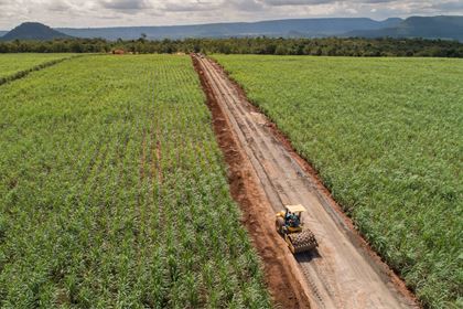 From biotech ambition to climate delivery: why bio based plastics matter now