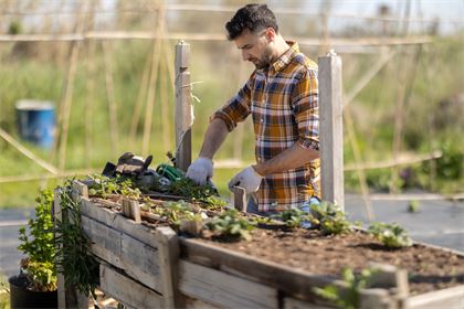 Why the Food and Feed Safety Omnibus comes at a critical moment for EU agriculture