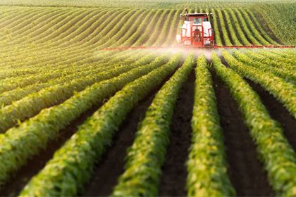Why Spain's crop protection rules reveal a costly gap in EU implementation