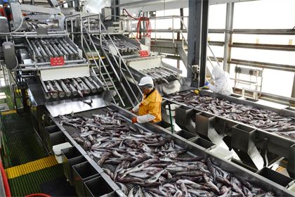 Why Russian fish keeps slipping the sanctions net
