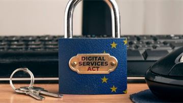 European Parliament adopts position on Digital Services Act