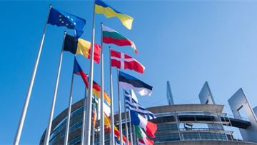 This week in Parliament