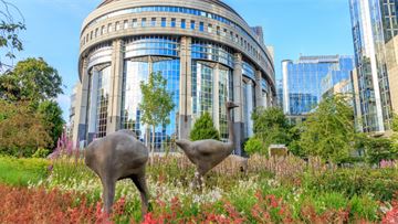 The real story behind Parliament's curious ostrich sculptures