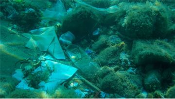 How Italy and Croatia are fighting against marine pollution