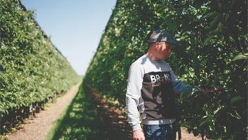 With the war in Ukraine hindering Moldovan apple exports to Russia, farmers are eyeing a new market: the EU