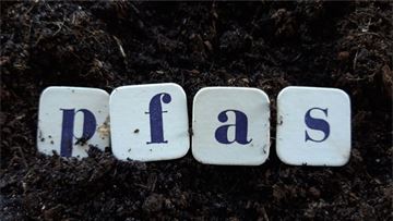 REACH revision: Better chemical safety for a Toxic-free environment