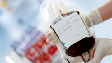 What Europe needs to achieve a sustainable blood ecosystem