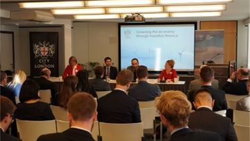 Greening the economy through transition finance