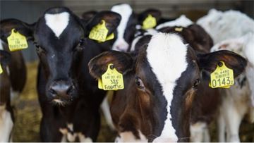 Data is crucial in the joint fight against antimicrobial resistance