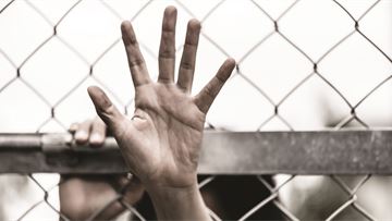 The far reaching consequences of illegal trade