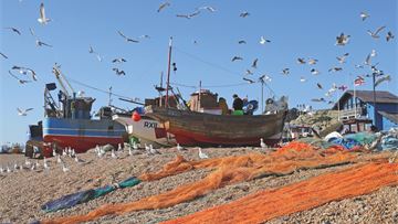 Litigating with the fishes