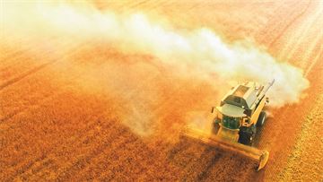 The answer to the agri-food sector’s fragility is a move towards sustainability