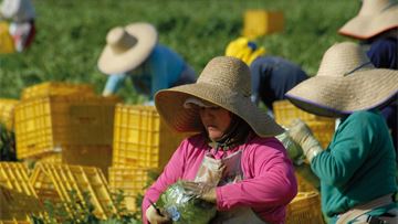 On the road from Farm to Fork