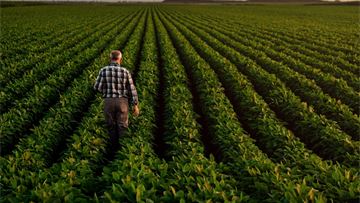 Head-to-head: No, the EU should not allow for the use of NGTs in plants