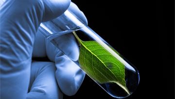 Head-to-head: Yes, the EU should allow for the use of NGTs in plants