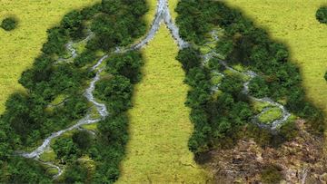 Balancing environmental needs with respiratory healthcare