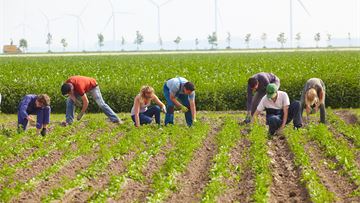 CAP’s social conditionality clause could be a game changer for agricultural workers