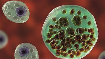 Boosting orphan drugs' development and accessibility in Europe