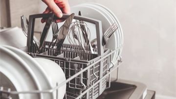 Why sustainability must be grounded in science