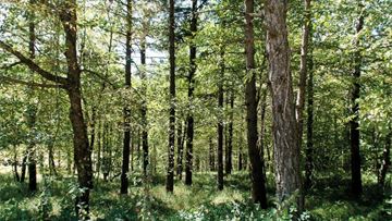 “Policy choices that aim at reducing environmental harm should be based on sound scientific evaluation using harmonised methods”  