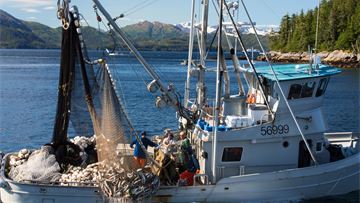 To help fight climate change, Europe needs to end overfishing