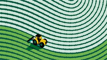 Saline solutions: As Europe's sea levels rise, farmers adapt