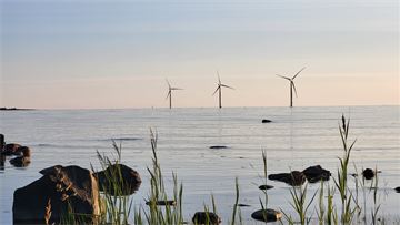 Finland plans to become Europe's first carbon negative economy