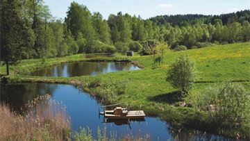 In Lithuania, national parks protect biodiversity and cultural heritage alike