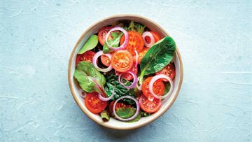 From policy to plate: advocating for better plant-based food in the European Parliament