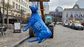 Why a contentious EU trade deal with South America could benefit European farmers   