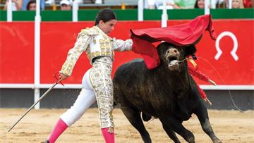 Bloody culture: How the EU keeps bullfighting alive