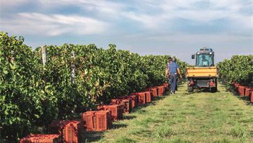 A pragmatic approach to the climate transition