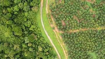 Global Net Zero is achievable – but we must be pragmatic