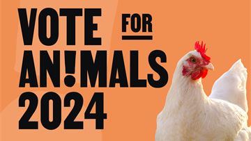 EU Elections: time to stand up for animals