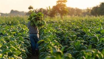 Innovation and investment central to a smoke-free future for Europe