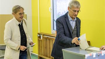 How have political parties leveraged social media in Germany’s state elections?