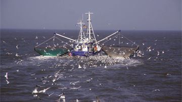 Op-ed: Common fisheries policy needs reform to meet fishers’ emerging challenges