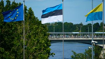 Estonia’s move to strip Russians of their right to vote rehashes complicated questions of belonging