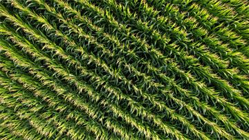 Europe's agricultural sector poised to drive renewable energy growth