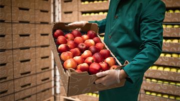 Global agri-food trade: a driver for EU sustainable competitiveness