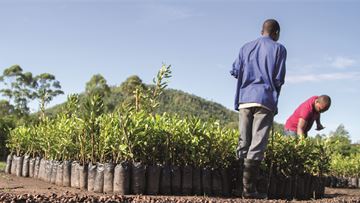 A Taste of Success: The European Snacks Association and the Savoury Snacks Industry