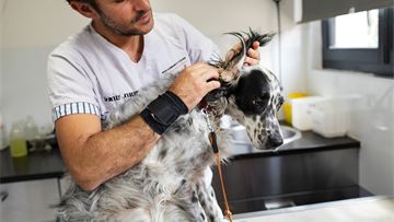 When we protect our pets, we protect ourselves: launching World Parasite Awareness Day