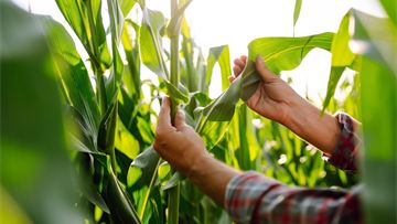 A toolbox of solutions for European farmers