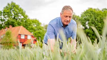Hybrid rye: unlocking the full potential of sustainable agriculture