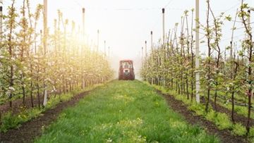 The post-patent plant protection industry edges closer to a long-awaited regulatory framework