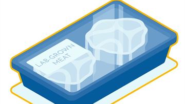 Is there a place for cultivated meat on consumers’ plates?