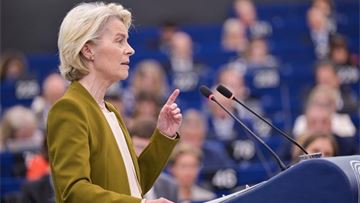 Von der Leyen's fragile alliance put to the test over US trade deal